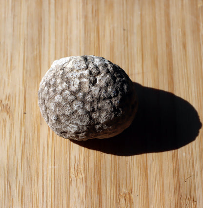 Mechovka - Supreme Panthers