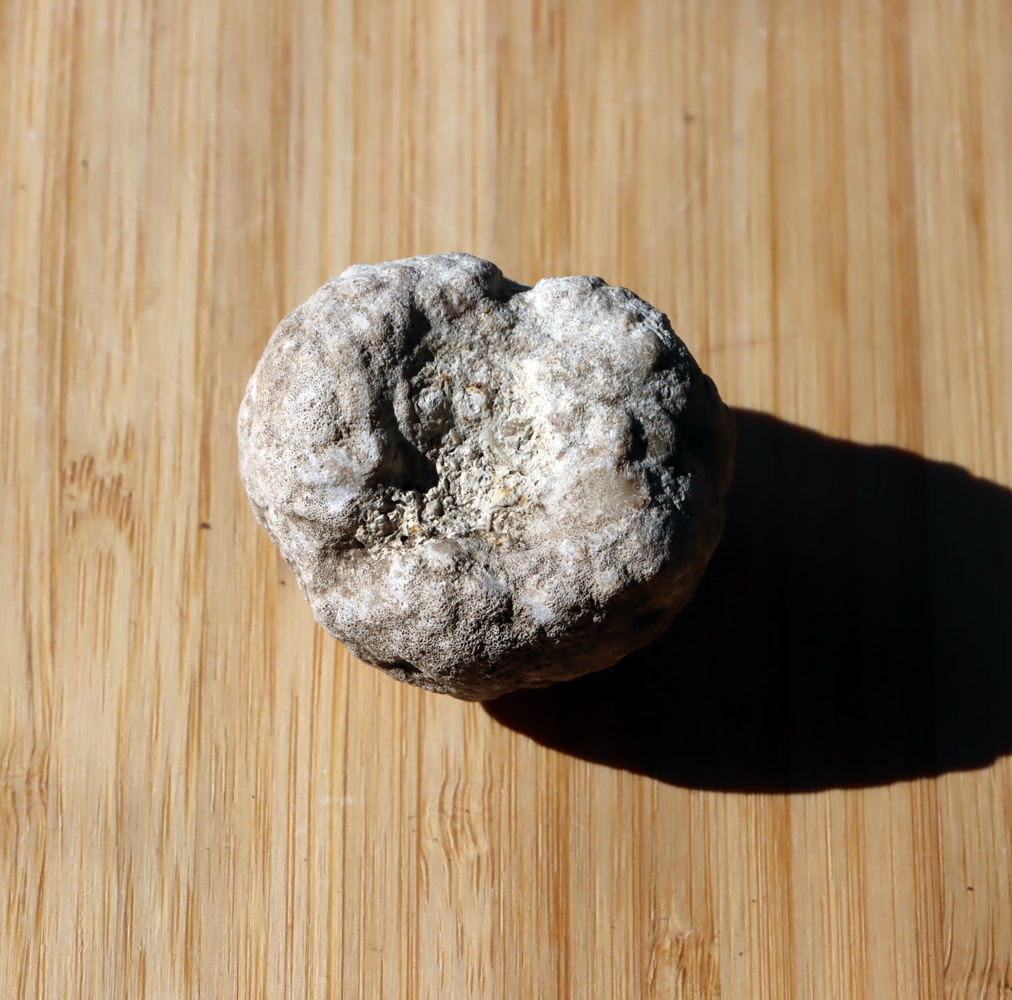 Mechovka - Supreme Panthers