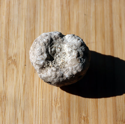 Mechovka - Supreme Panthers