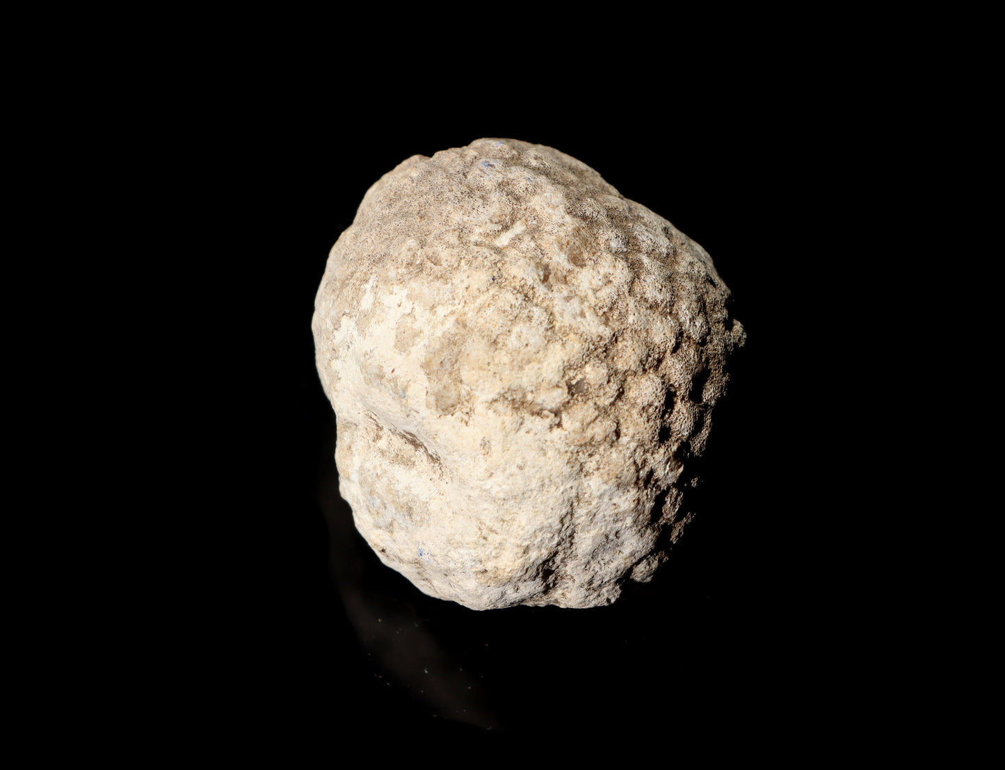 Mechovka - Supreme Panthers