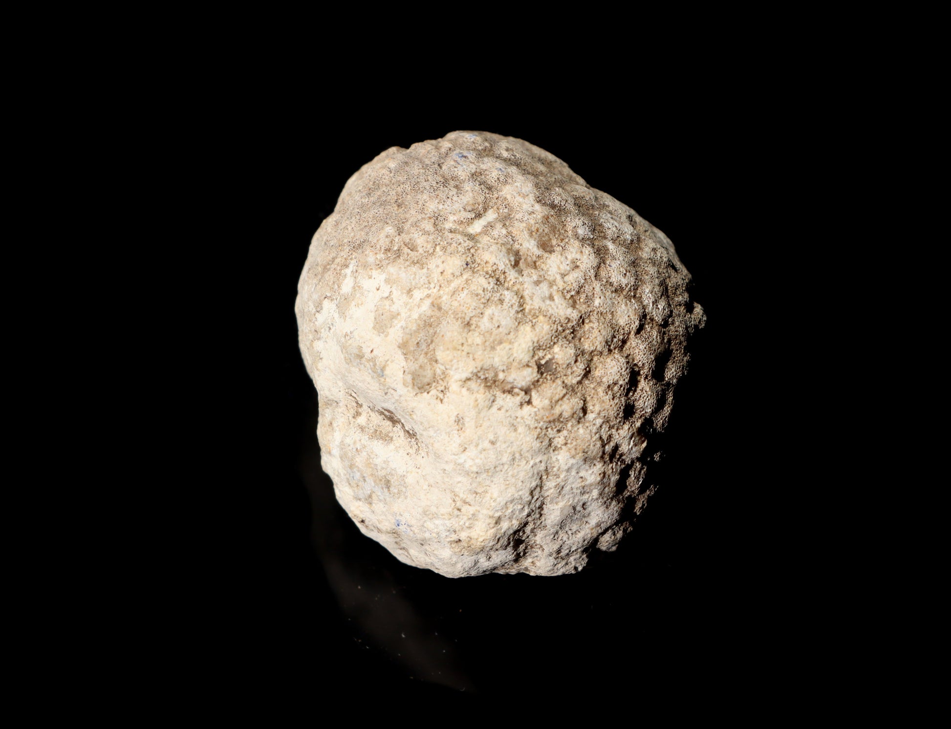 Mechovka - Supreme Panthers