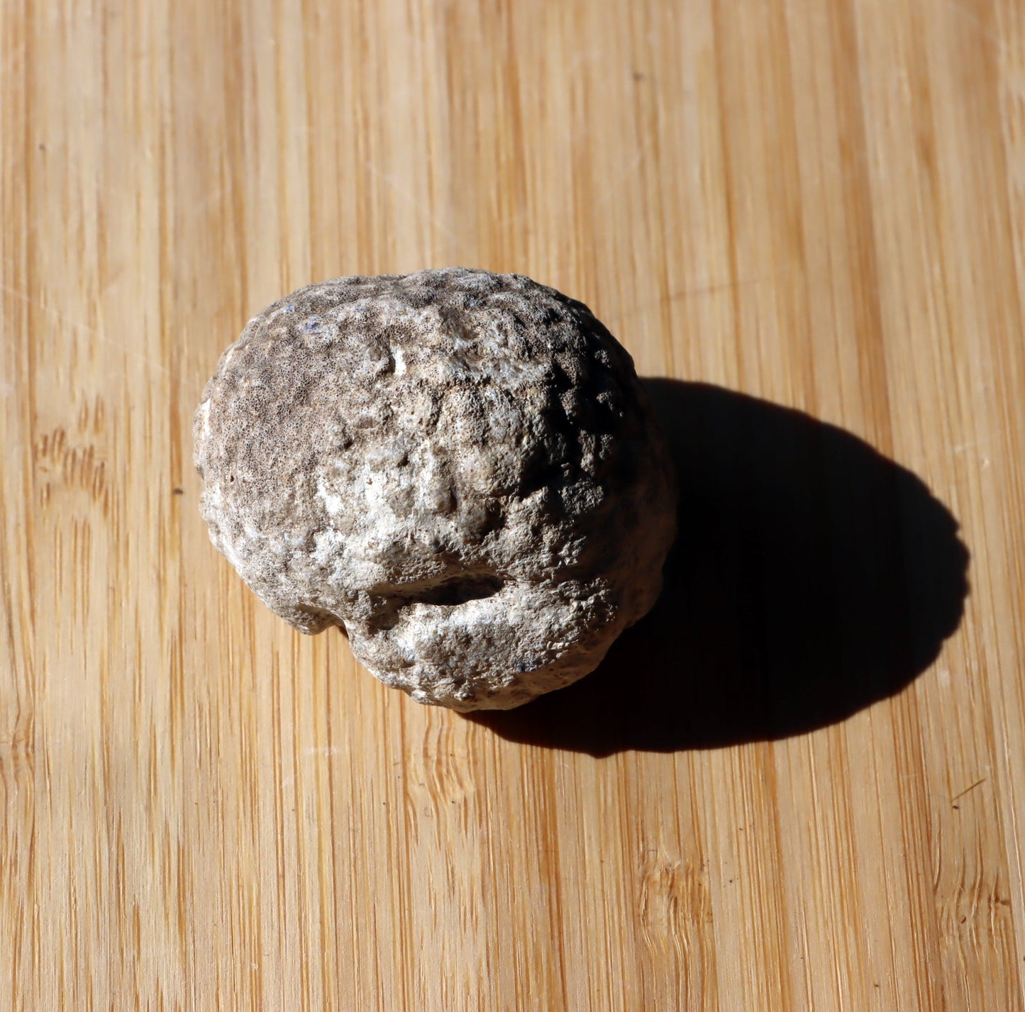 Mechovka - Supreme Panthers