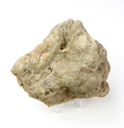 Modravožlutý chalcedon v geodě leštěná - Supreme Panthers