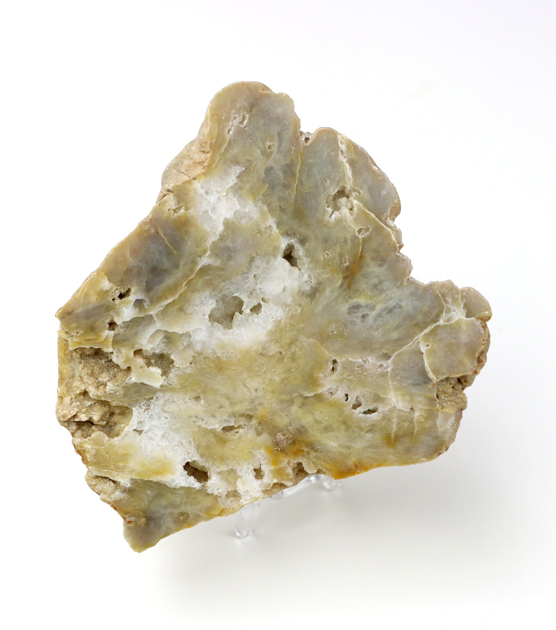 Modravožlutý chalcedon v geodě leštěná - Supreme Panthers