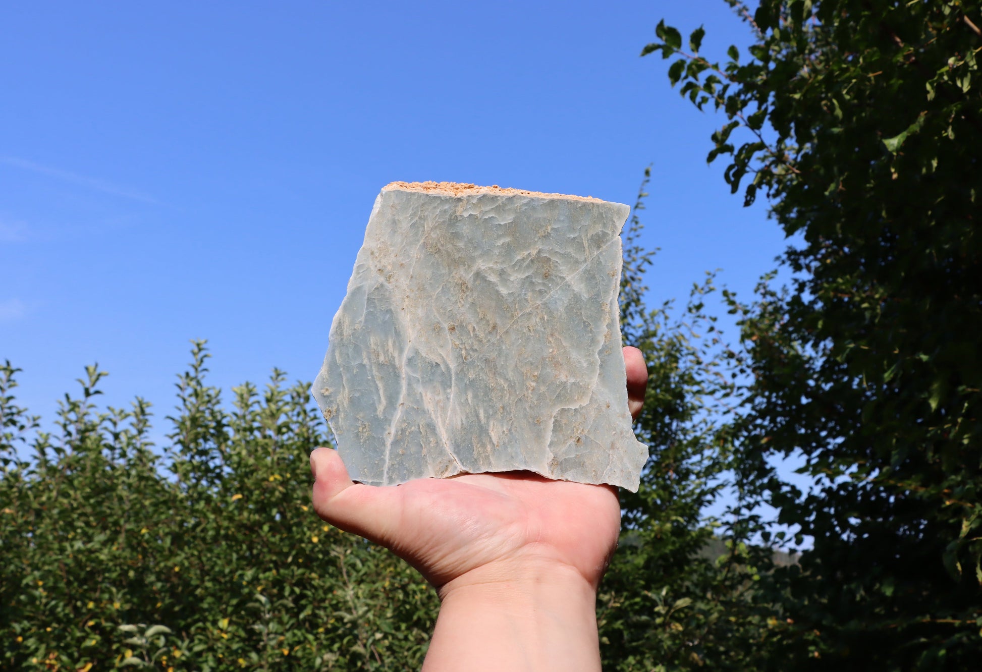 Modrý mramor - Supreme Panthers