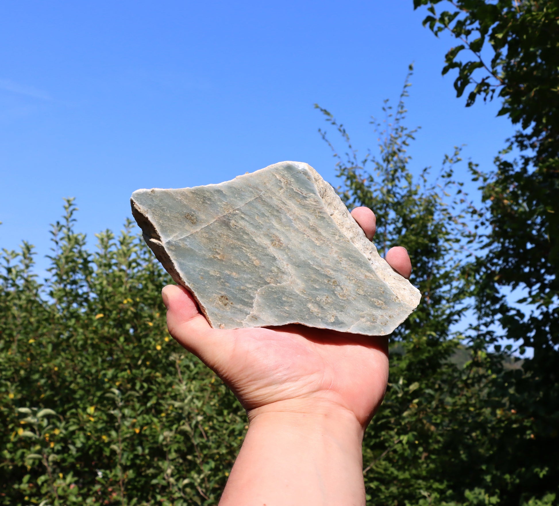 Modrý mramor - Supreme Panthers