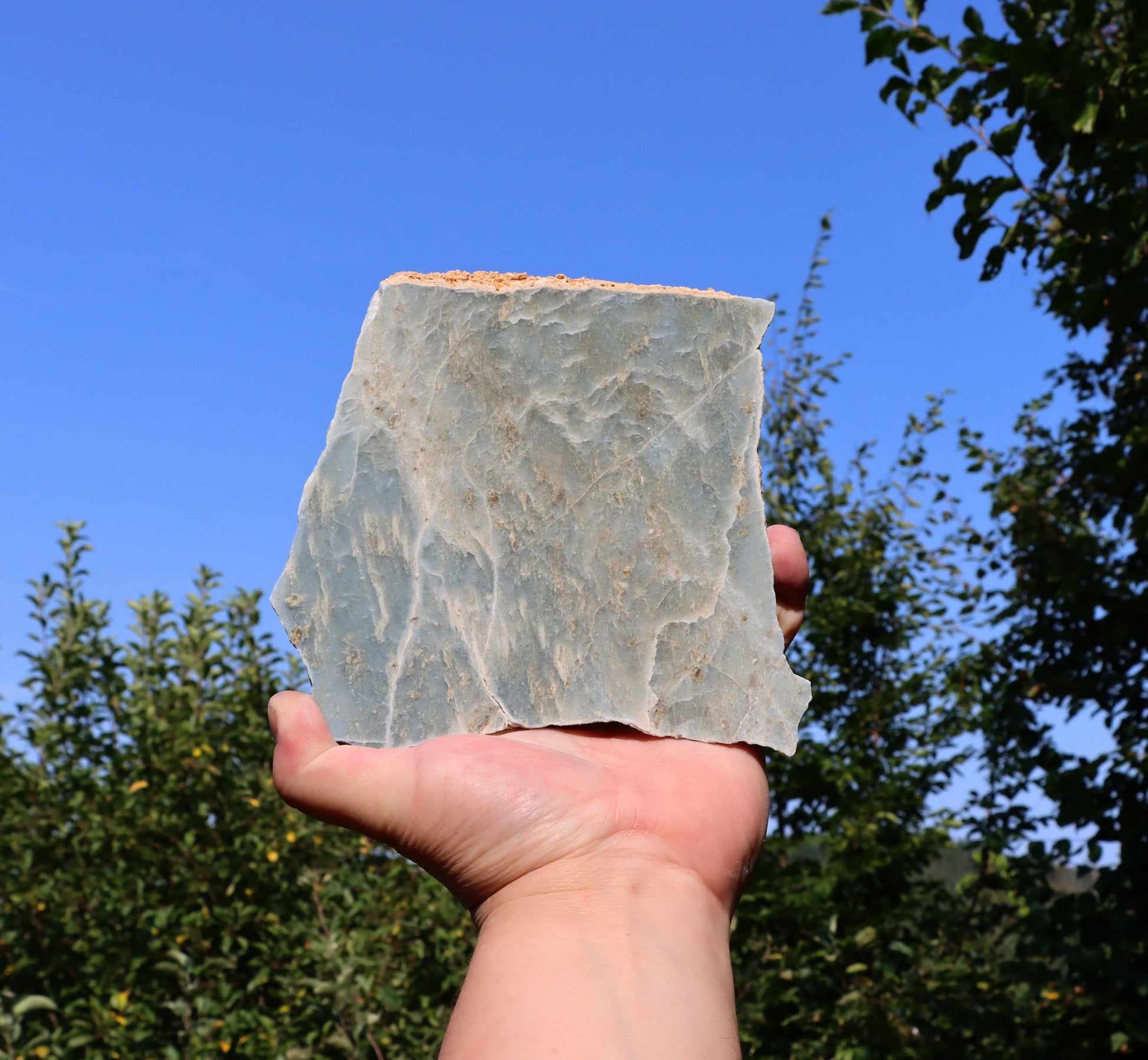 Modrý mramor - Supreme Panthers