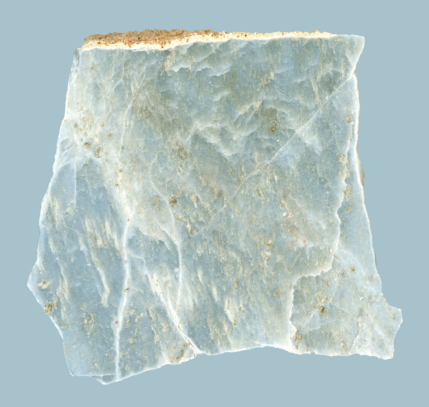 Modrý mramor - Supreme Panthers