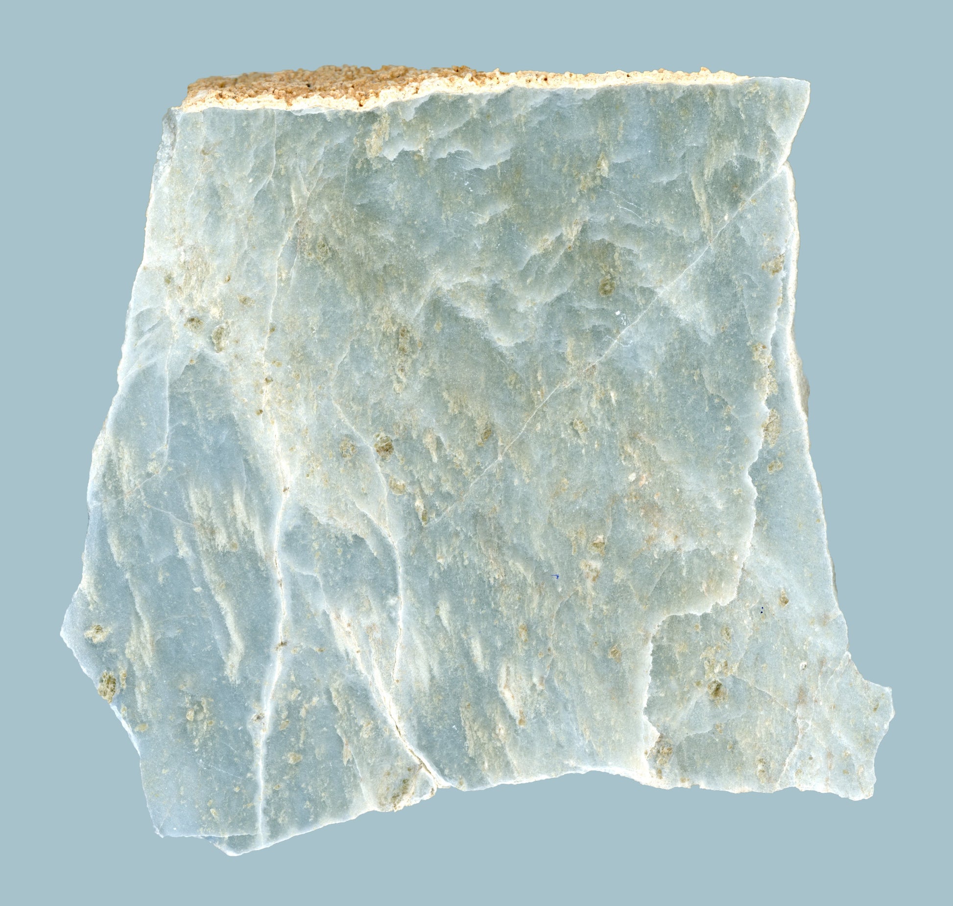 Modrý mramor - Supreme Panthers