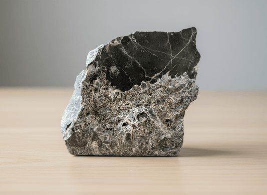 Monument s rugózními koráli - Supreme Panthers