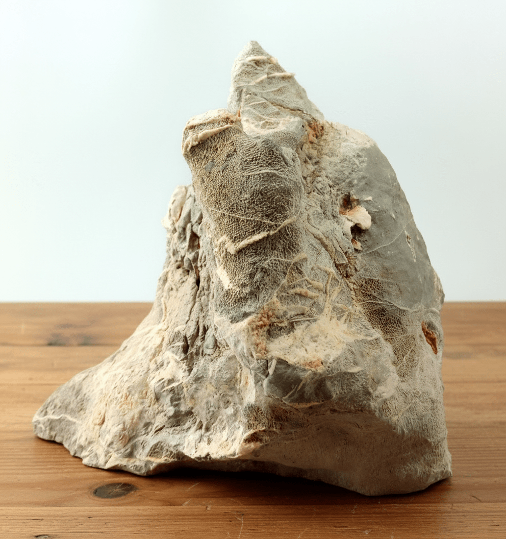 Monument z vápence na tužku - Supreme Panthers