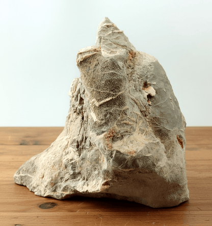 Monument z vápence na tužku - Supreme Panthers