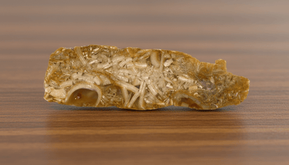 Nadrcené schránky amonitů v chalcedonu - Supreme Panthers