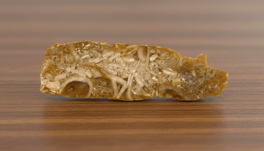 Nadrcené schránky amonitů v chalcedonu - Supreme Panthers