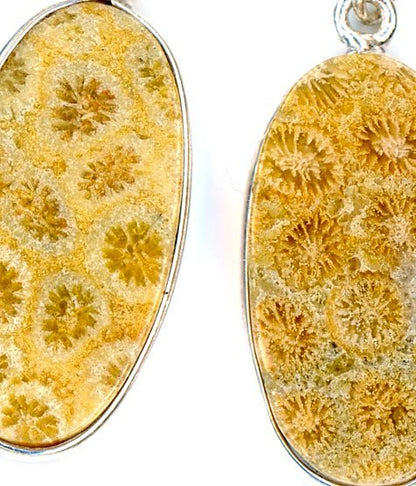 Náušnice korál - Supreme Panthers