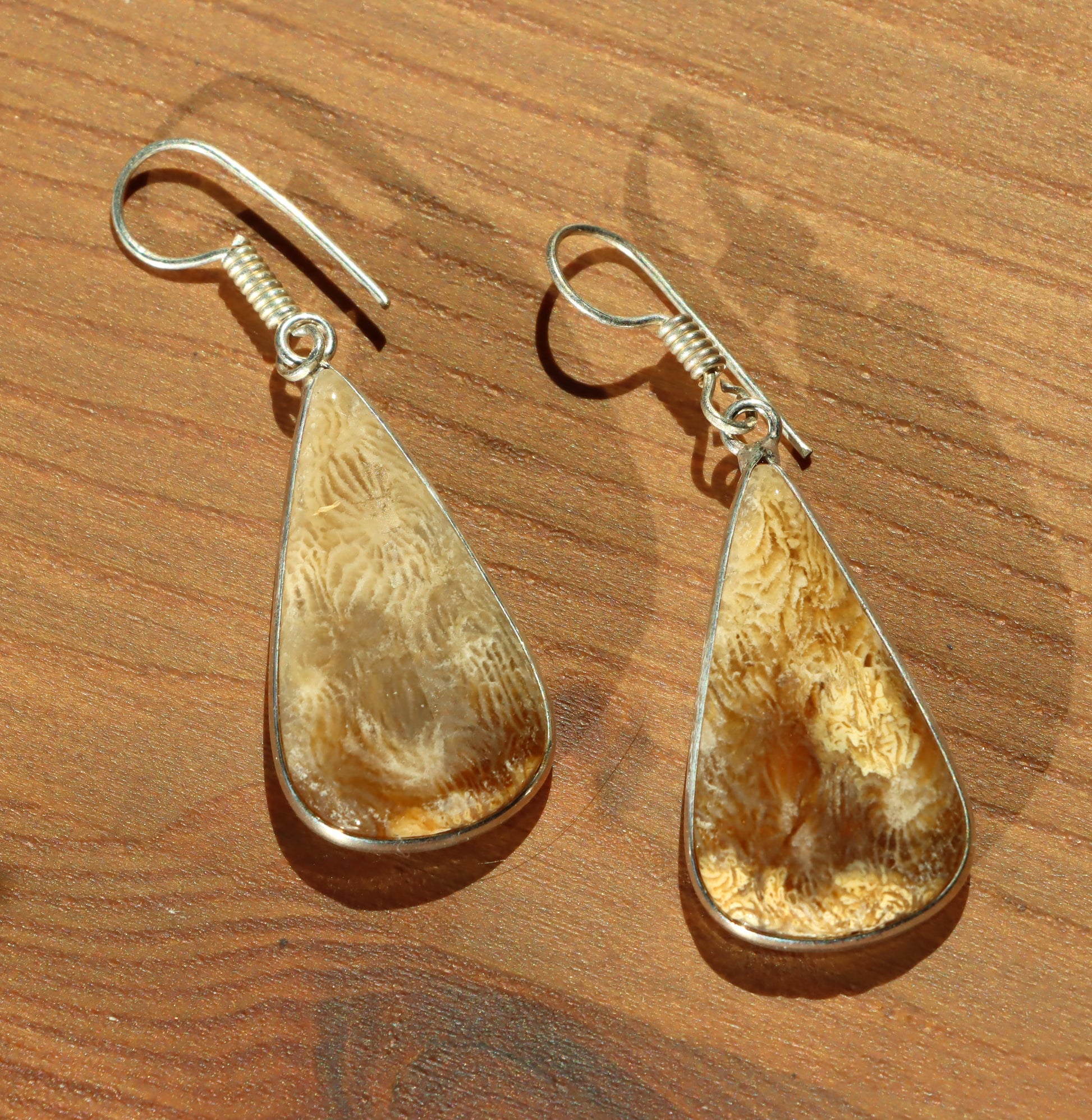 Náušnice s fosilním korálem - Supreme Panthers