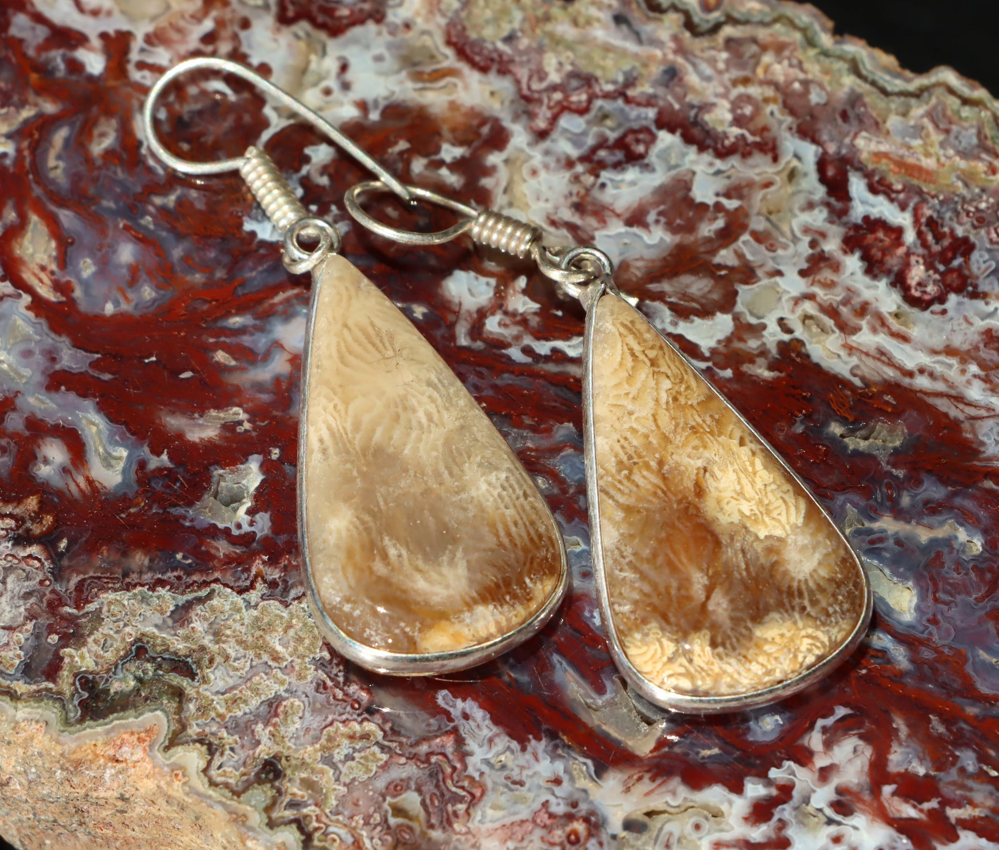 Náušnice s fosilním korálem - Supreme Panthers