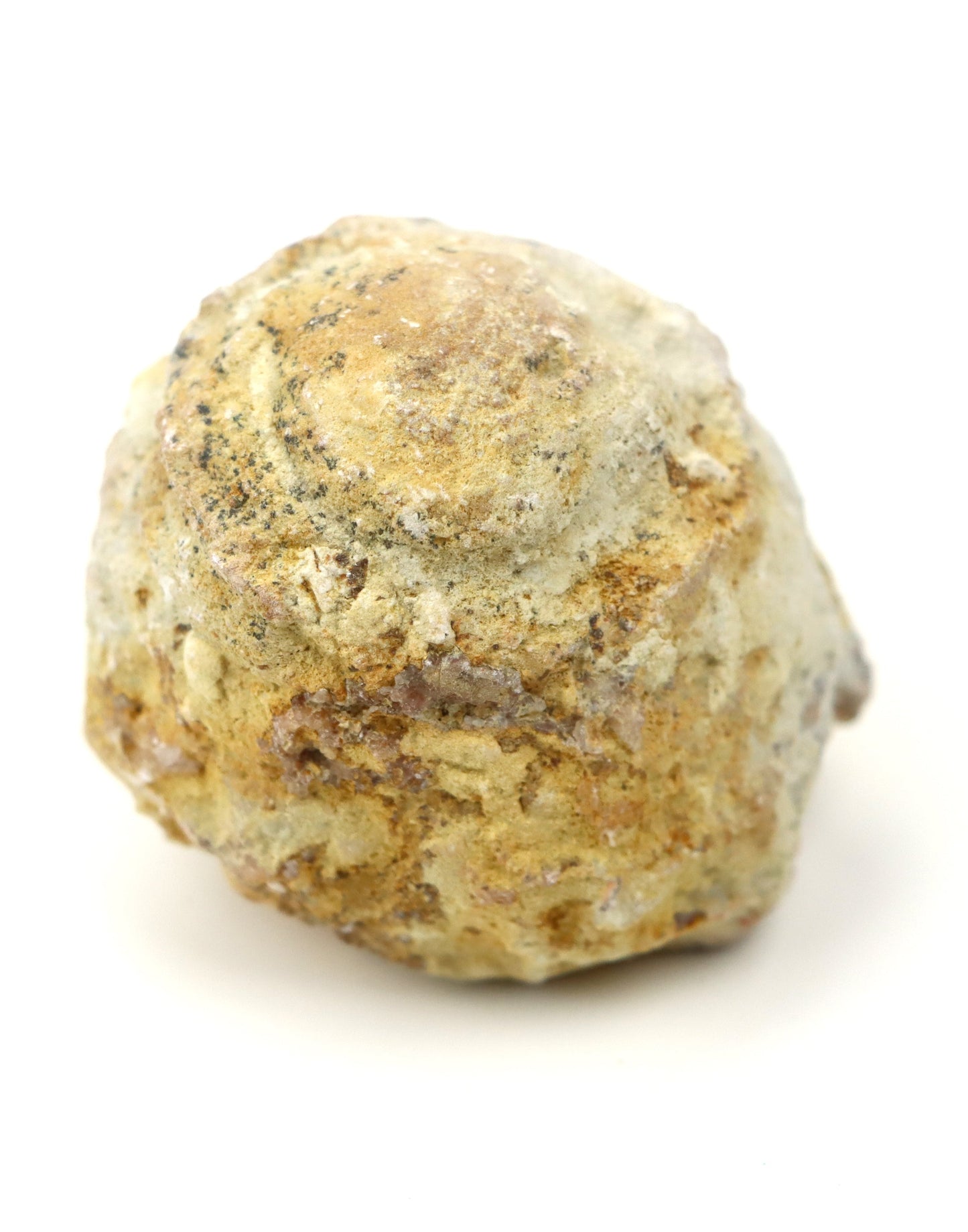 Olomučanský koblížek, r. 1946 - 1955 - Supreme Panthers