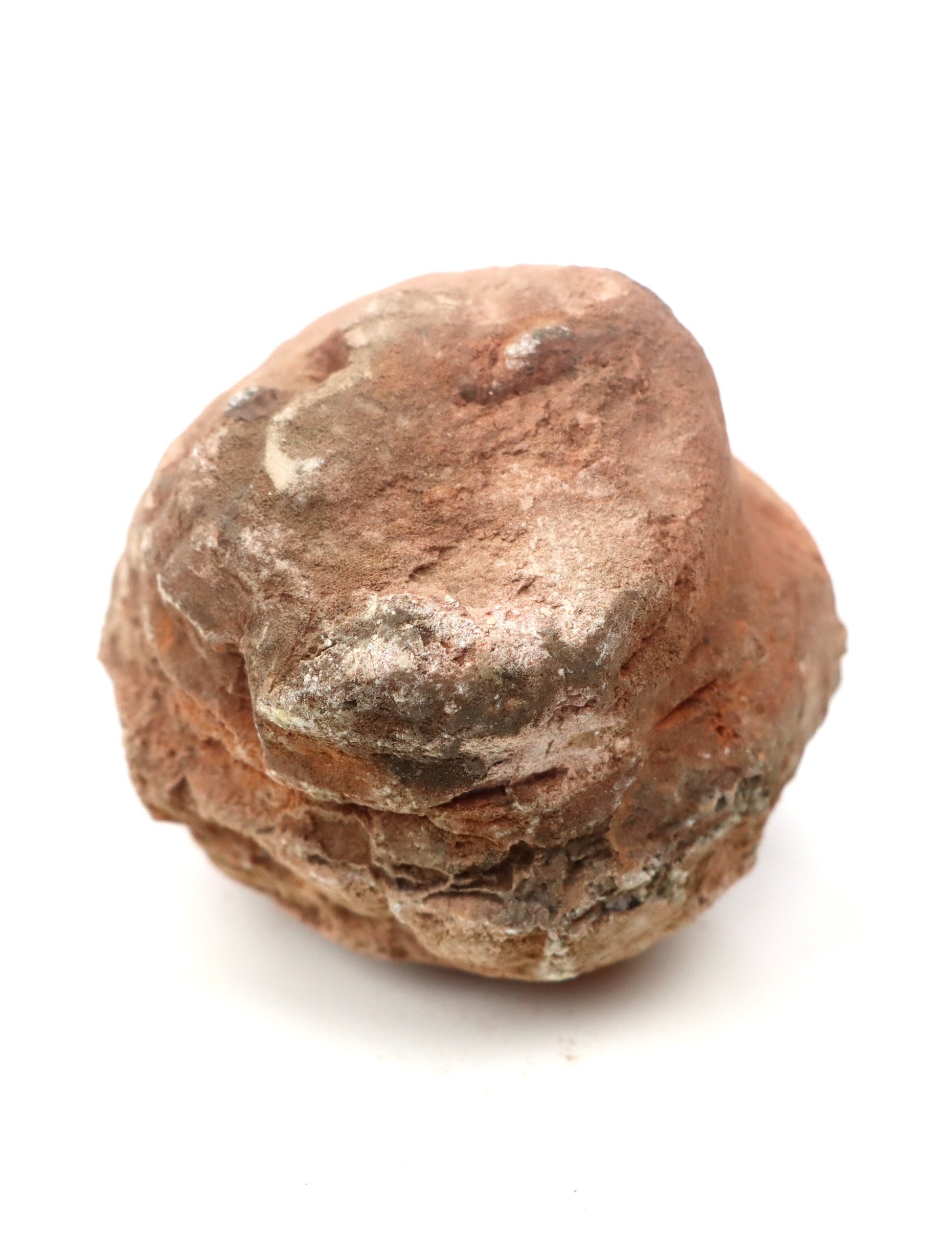 Olomučanský koblížek, r. 1946 - 1955 - Supreme Panthers