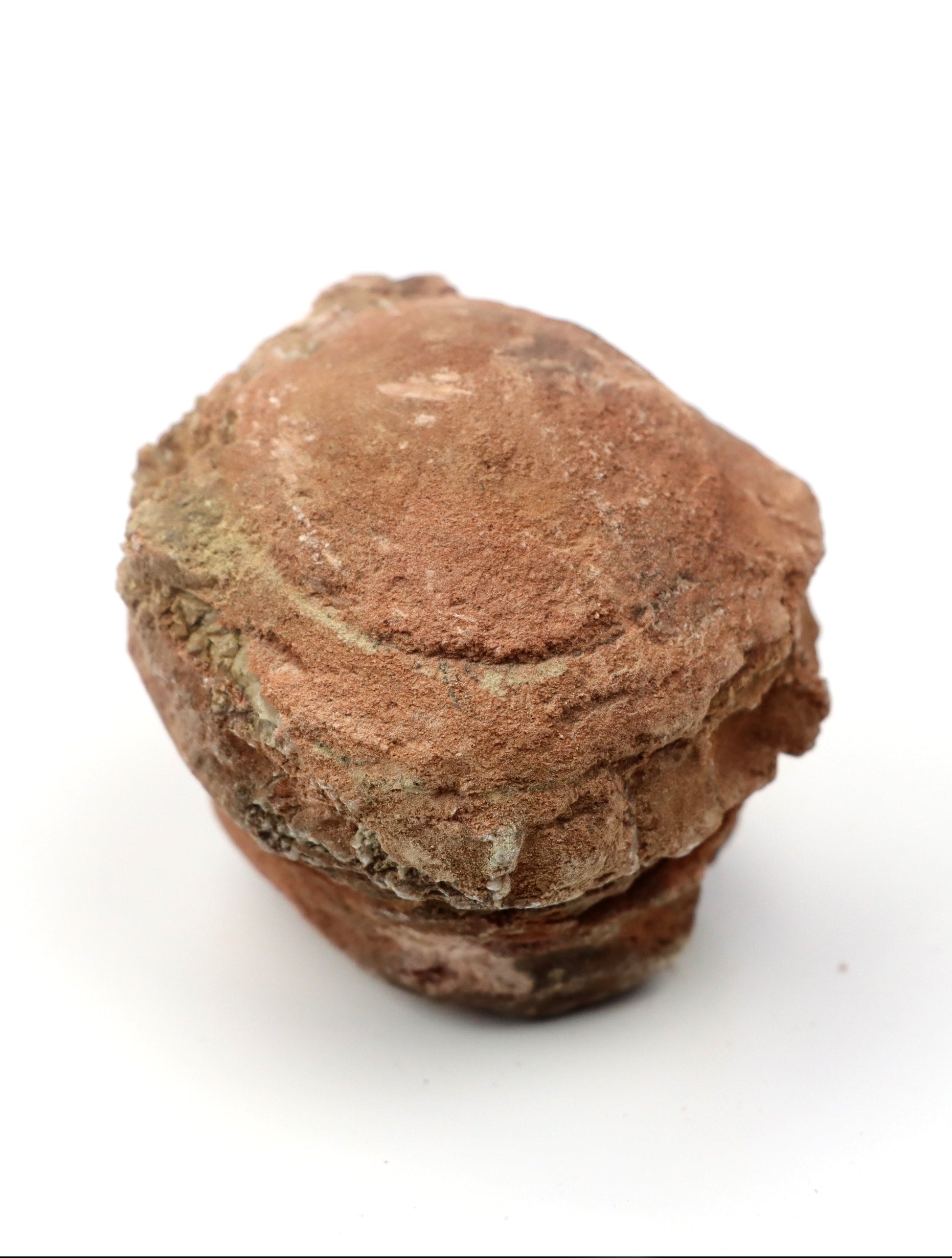 Olomučanský koblížek, r. 1946 - 1955 - Supreme Panthers