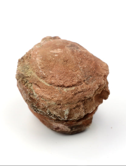 Olomučanský koblížek, r. 1946 - 1955 - Supreme Panthers