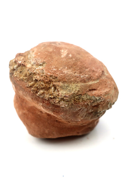 Olomučanský koblížek, r. 1946 - 1955 - Supreme Panthers