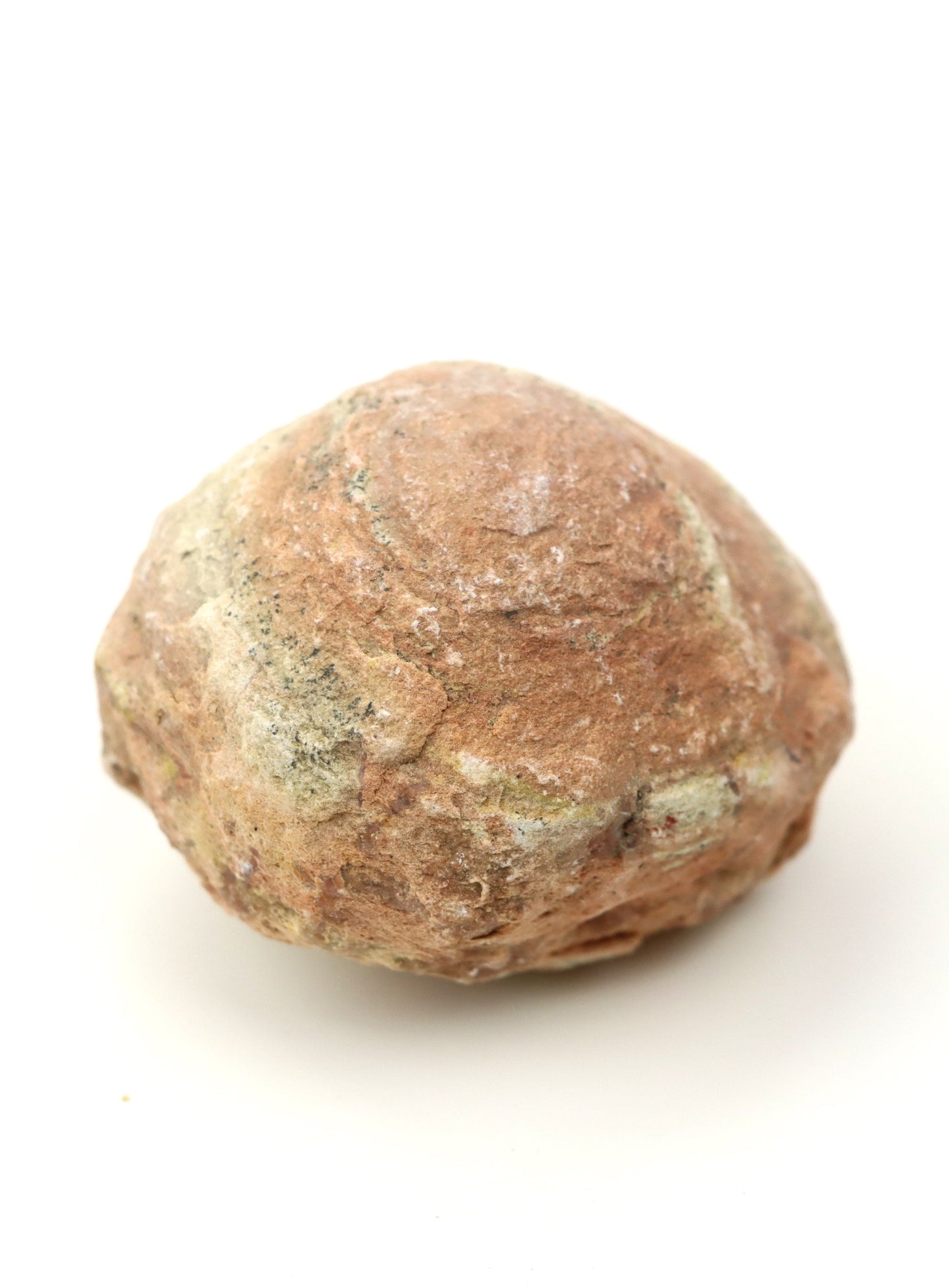 Olomučanský koblížek, r. 1946 - 1955 - Supreme Panthers