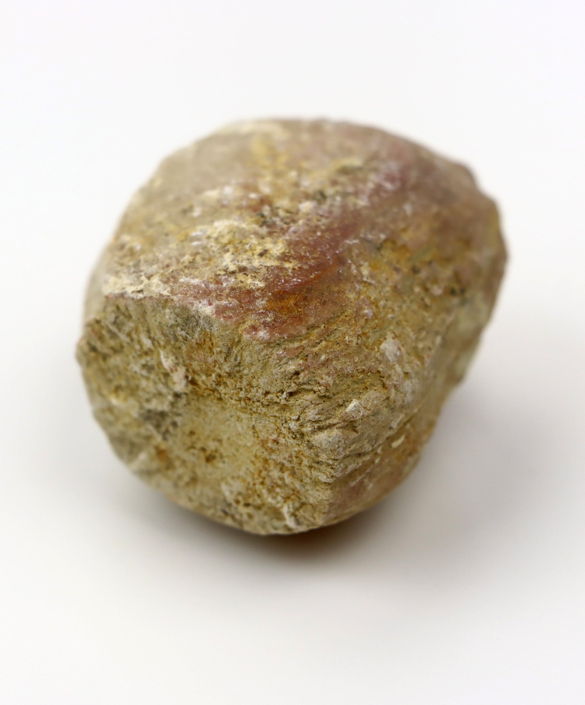 Olomučanský koblížek, r. 1946 - 1955 - Supreme Panthers