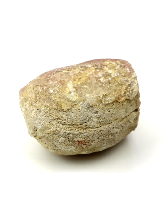 Olomučanský koblížek, r. 1946 - 1955 - Supreme Panthers