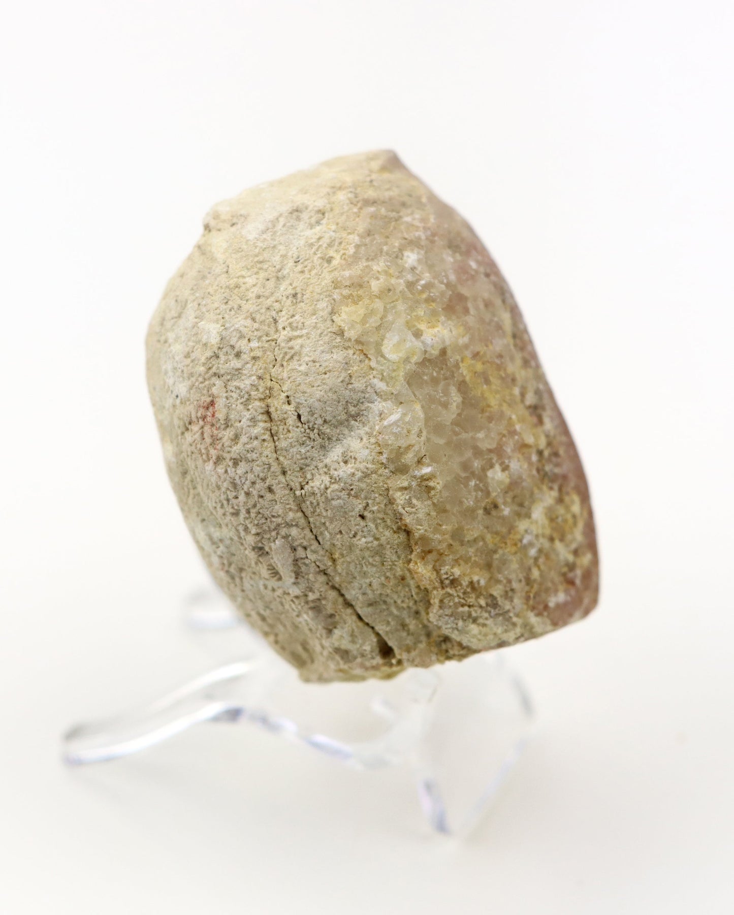 Olomučanský koblížek, r. 1946 - 1955 - Supreme Panthers