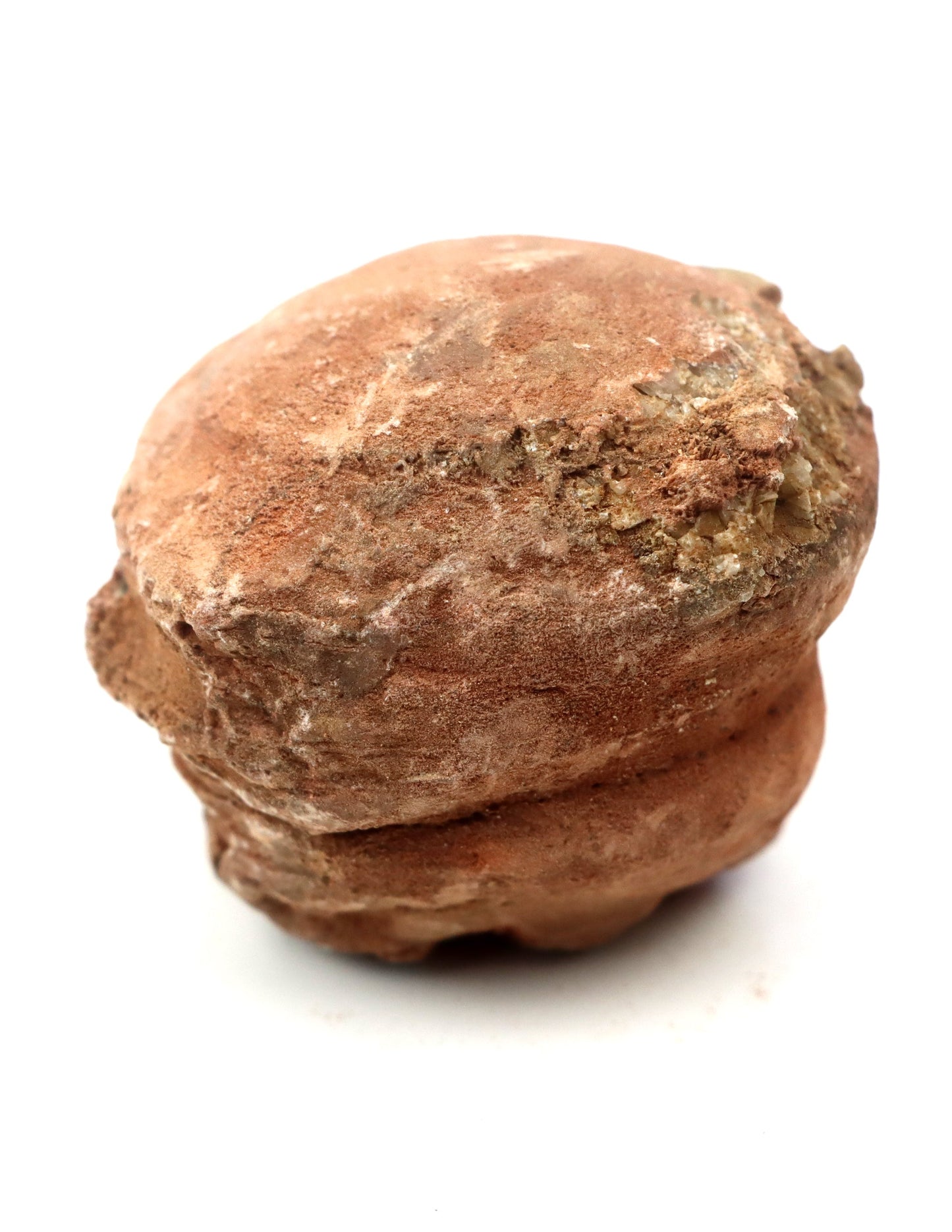 Olomučanský koblížek, r. 1946 - 1955 - Supreme Panthers