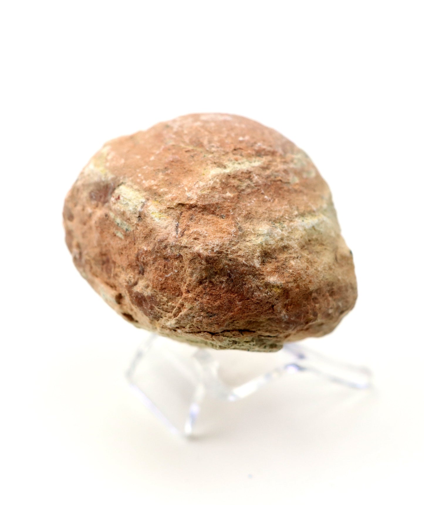 Olomučanský koblížek, r. 1946 - 1955 - Supreme Panthers