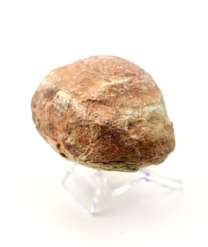 Olomučanský koblížek, r. 1946 - 1955 - Supreme Panthers