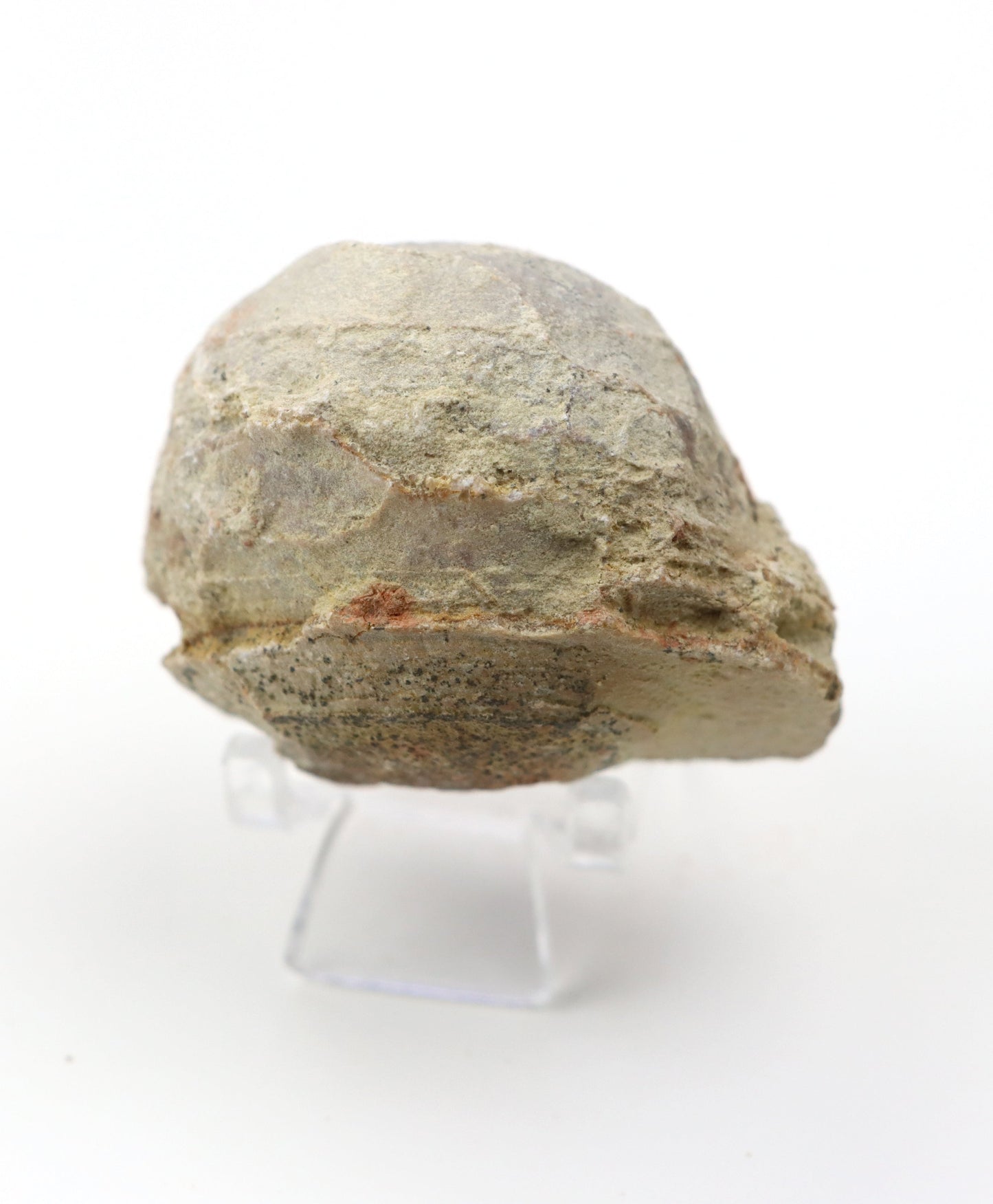 Olomučanský koblížek, r. 1946 - 1955 - Supreme Panthers