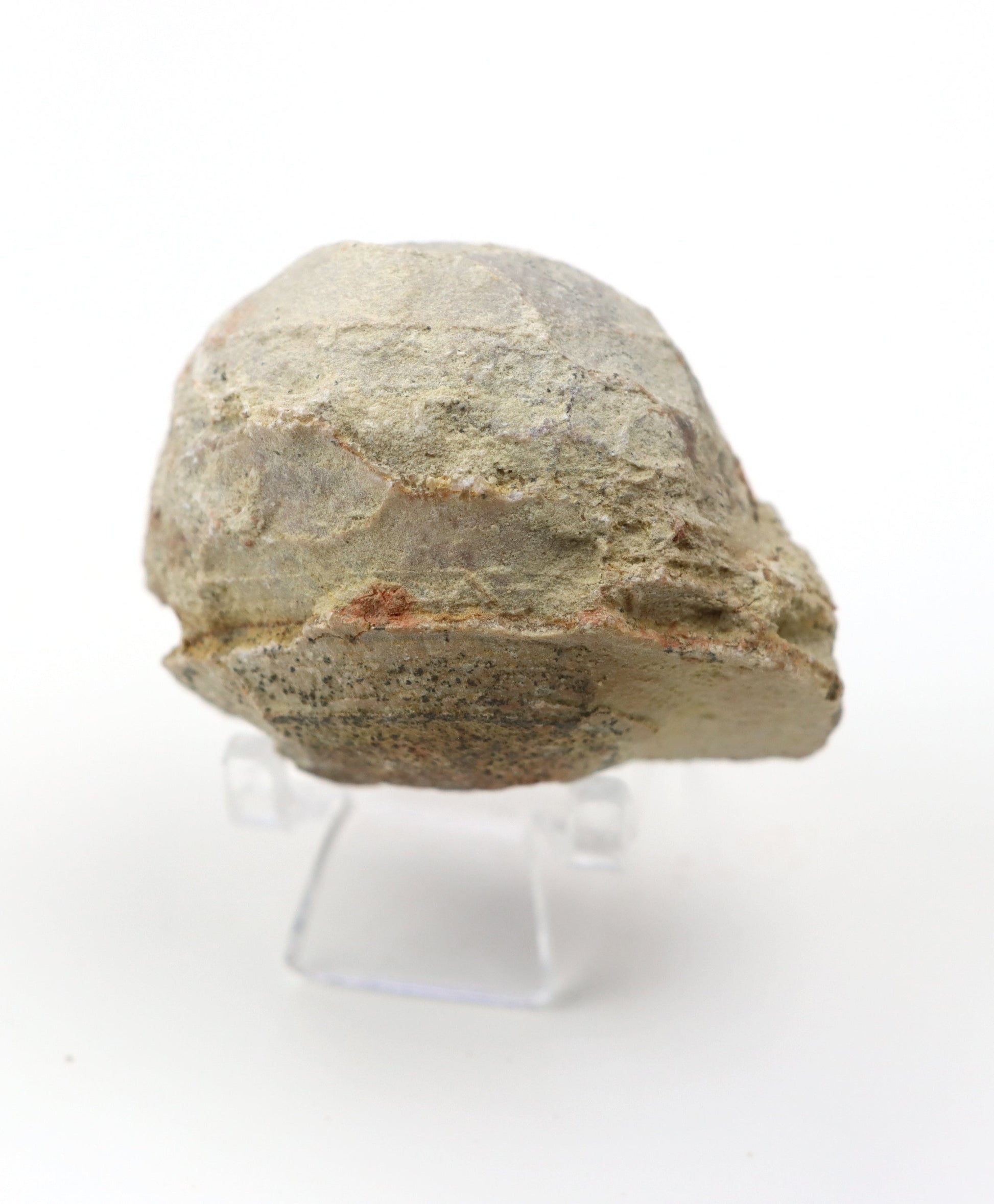 Olomučanský koblížek, r. 1946 - 1955 - Supreme Panthers