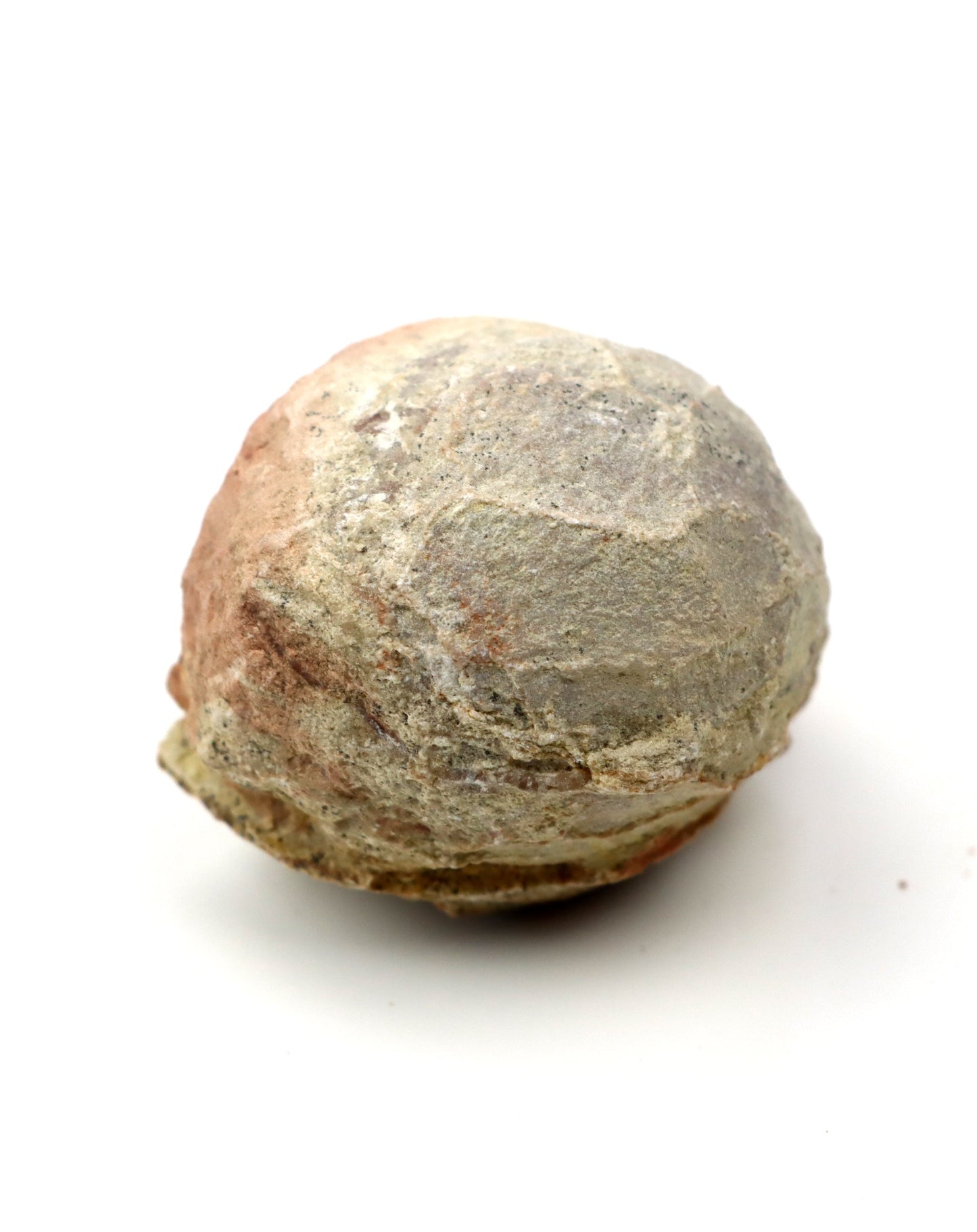 Olomučanský koblížek, r. 1946 - 1955 - Supreme Panthers