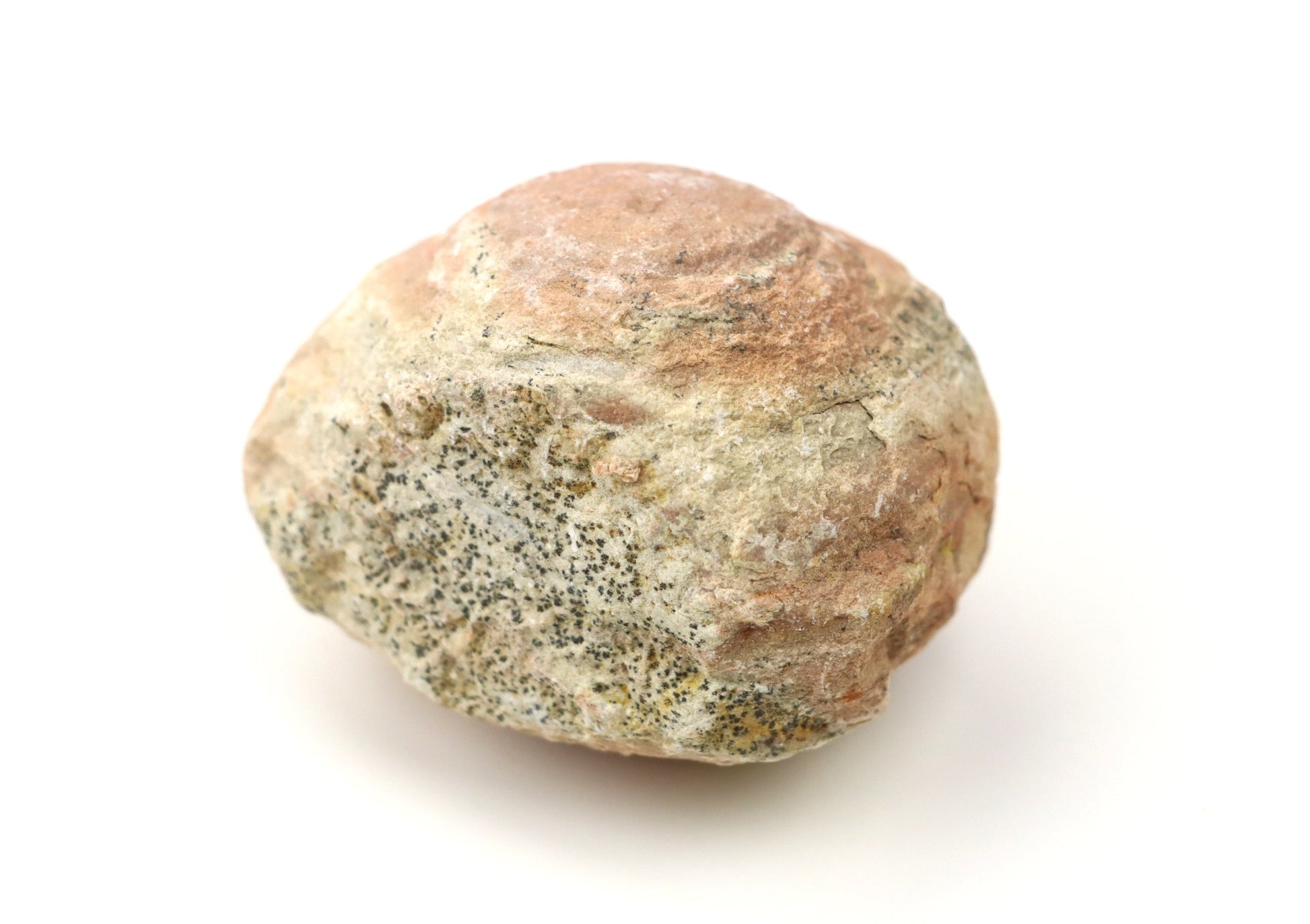 Olomučanský koblížek, r. 1946 - 1955 - Supreme Panthers