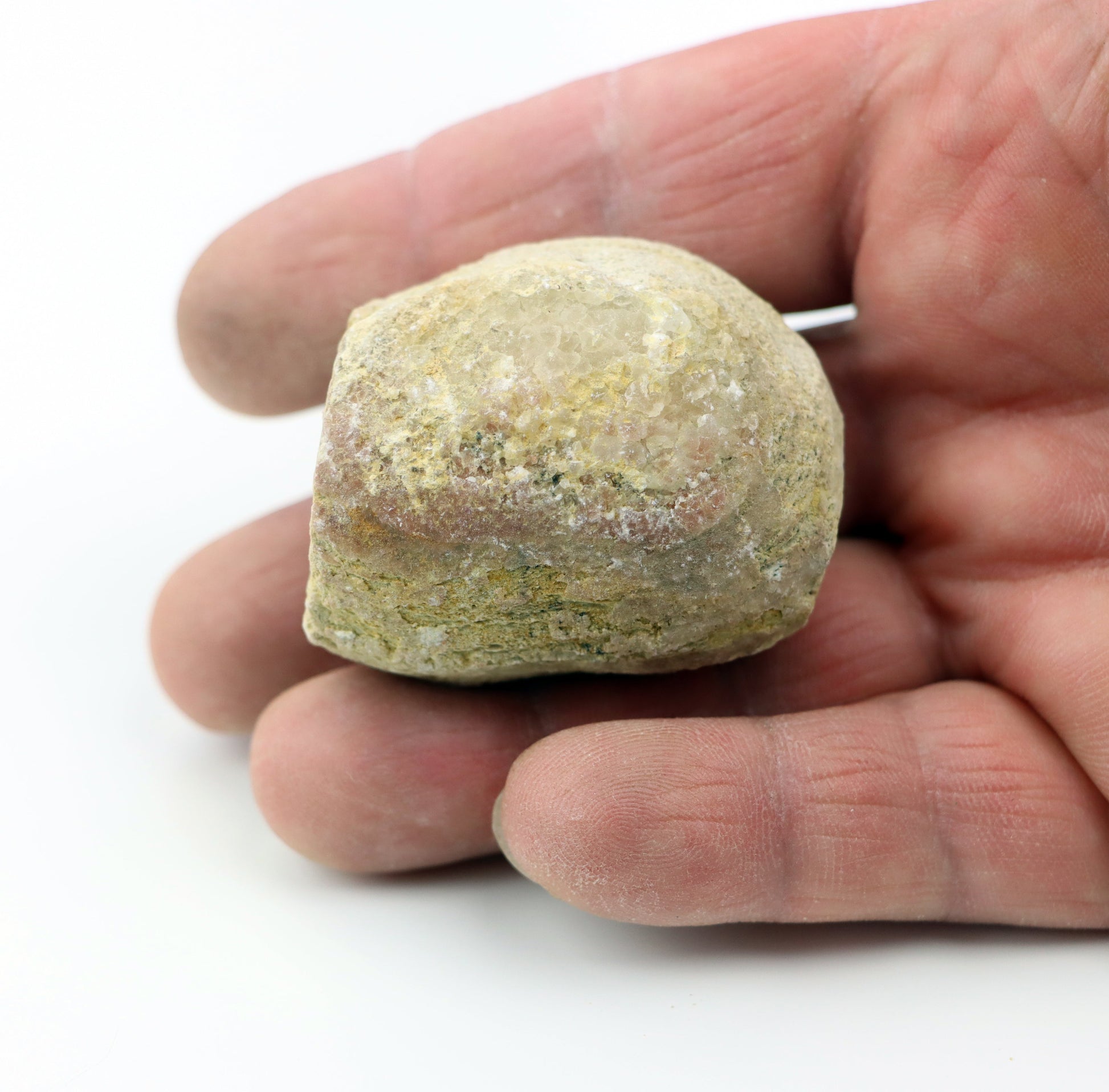 Olomučanský koblížek, r. 1946 - 1955 - Supreme Panthers