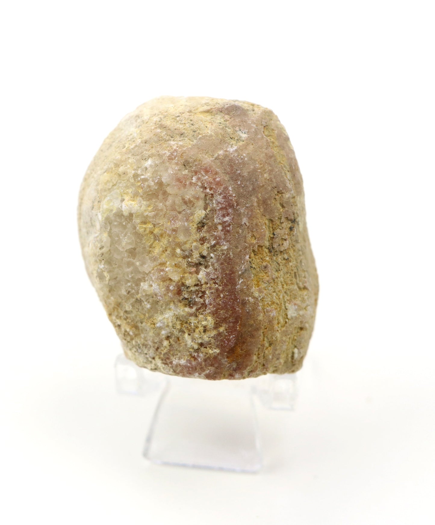 Olomučanský koblížek, r. 1946 - 1955 - Supreme Panthers