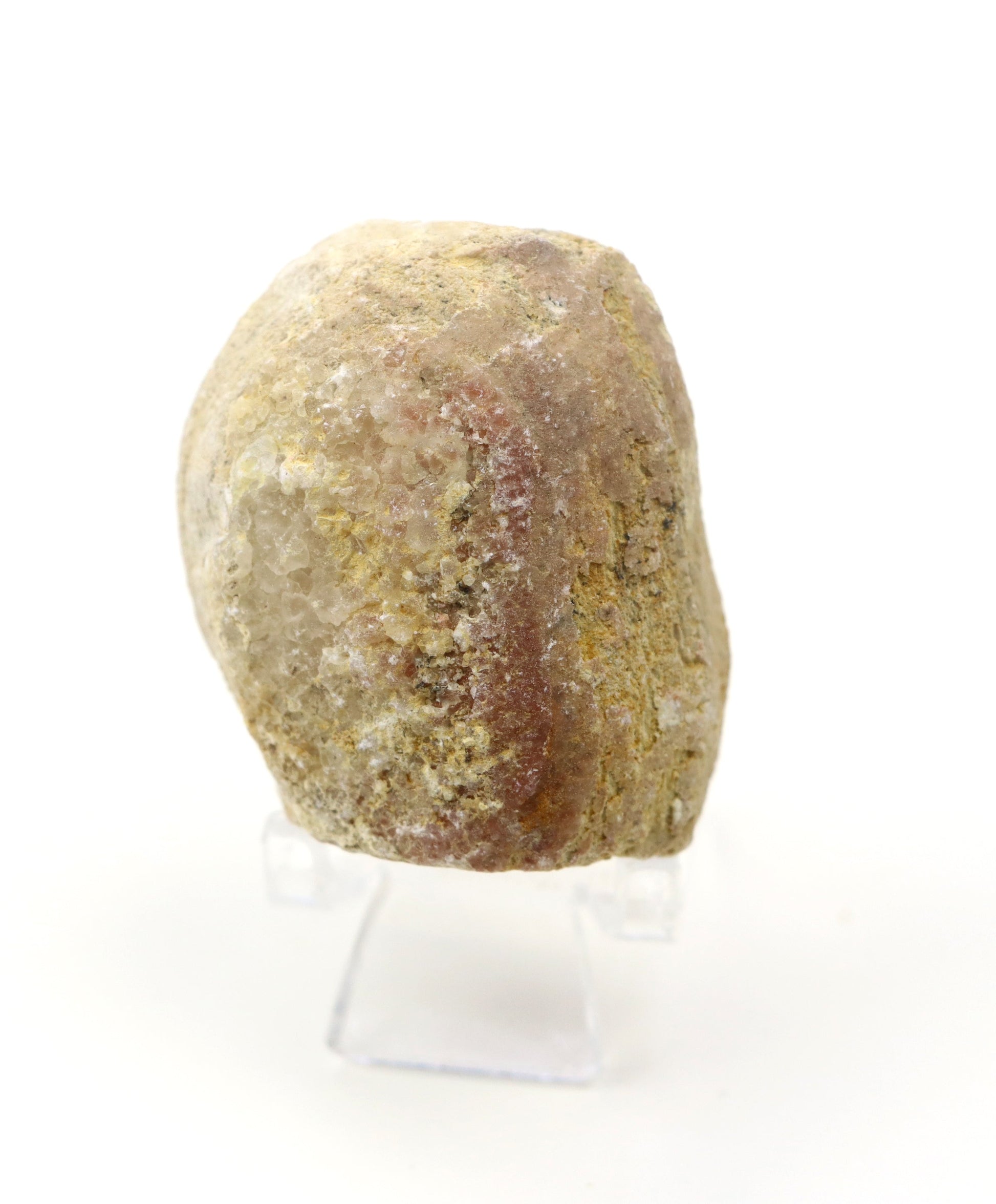 Olomučanský koblížek, r. 1946 - 1955 - Supreme Panthers