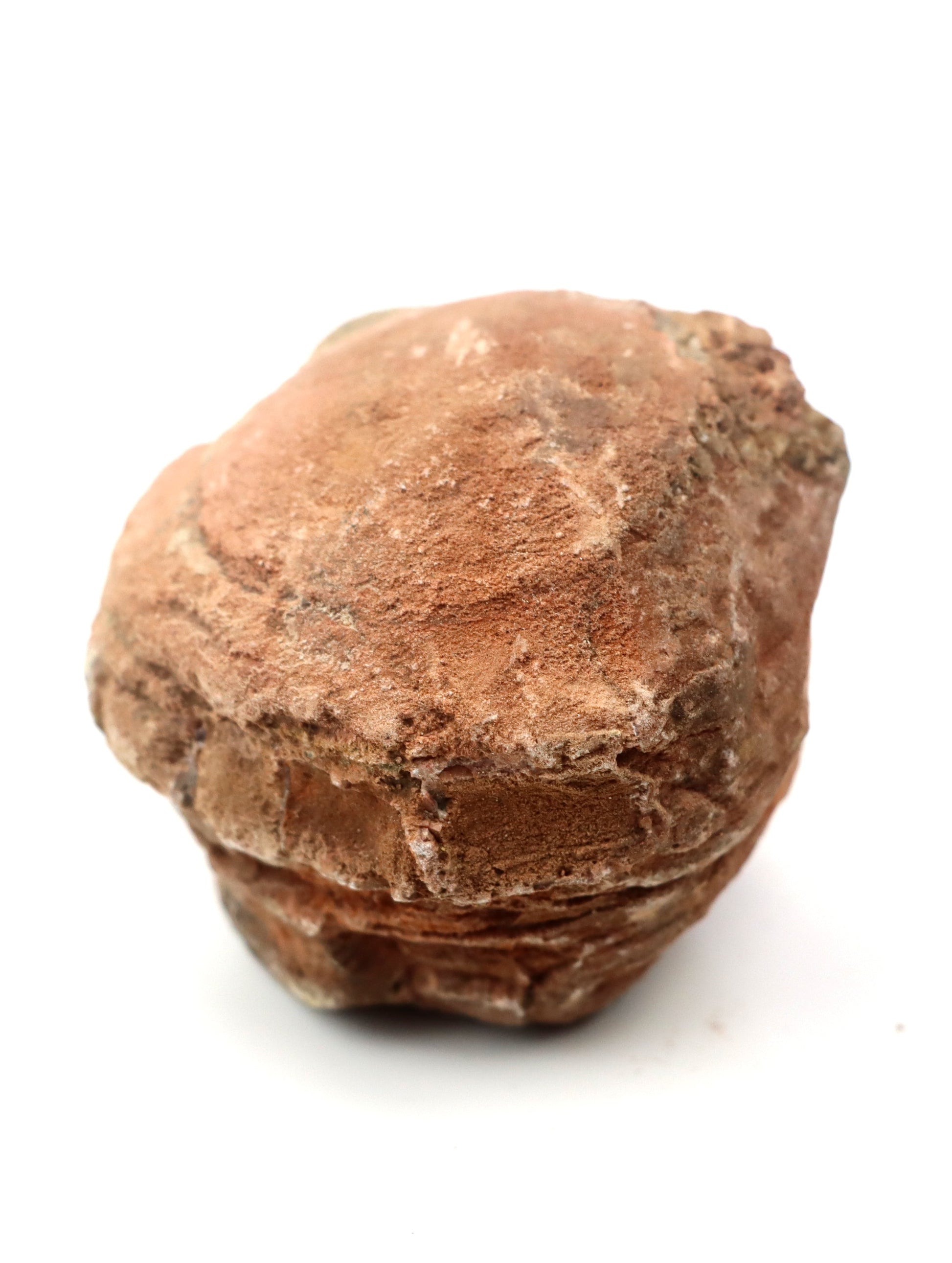 Olomučanský koblížek, r. 1946 - 1955 - Supreme Panthers