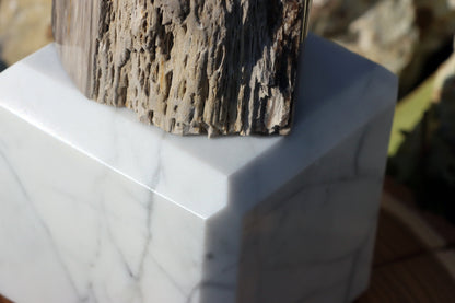 Oltář Srdce zkamenělého dubu - Supreme Panthers