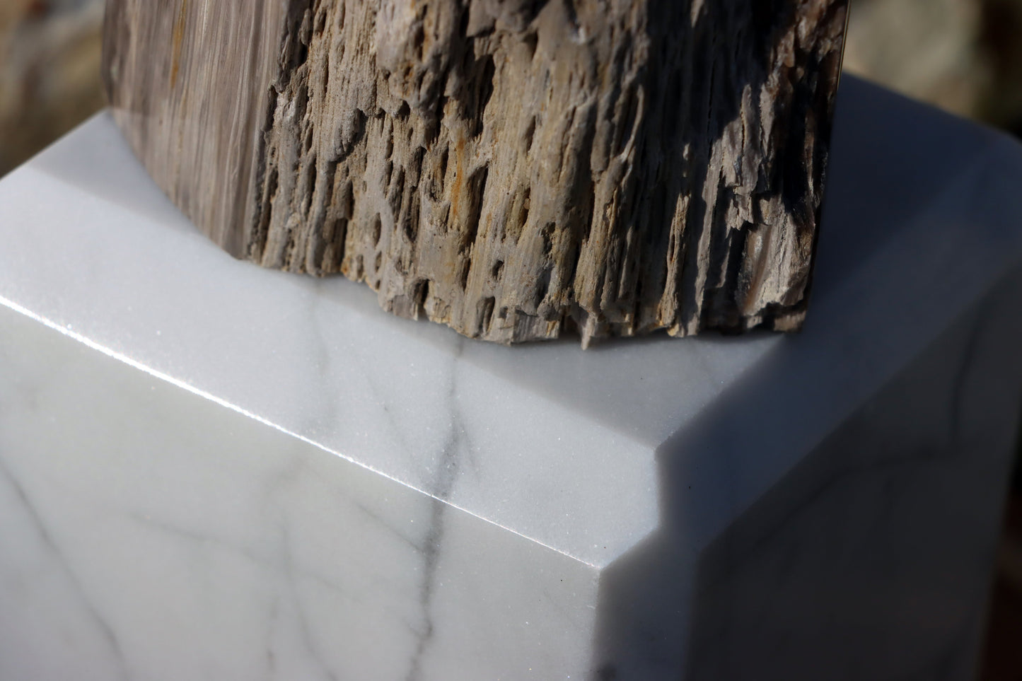 Oltář Srdce zkamenělého dubu - Supreme Panthers