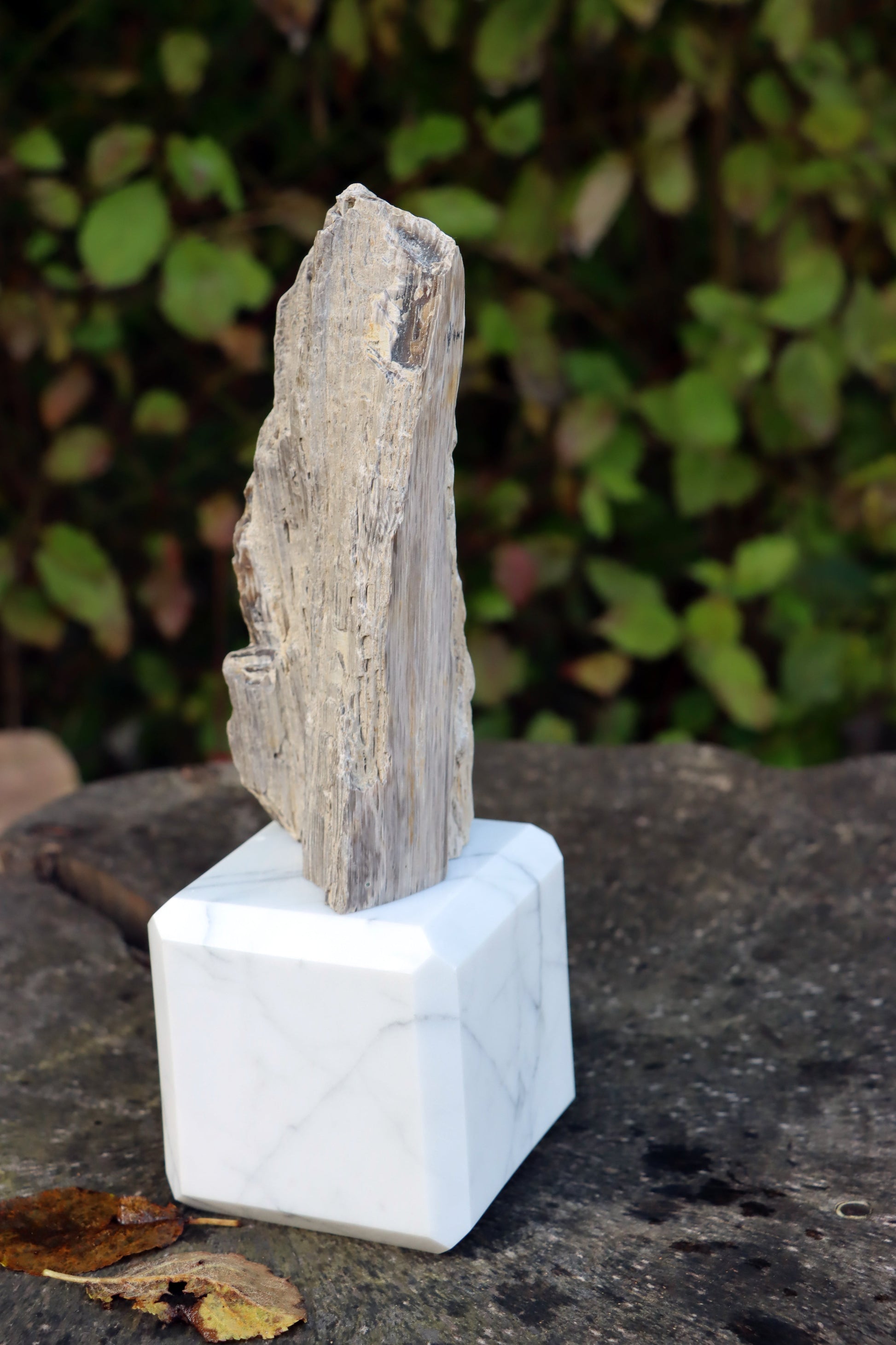 Oltář Srdce zkamenělého dubu - Supreme Panthers