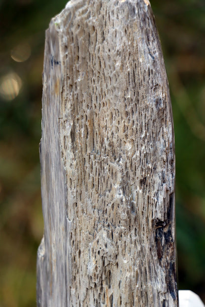 Oltář Srdce zkamenělého dubu - Supreme Panthers