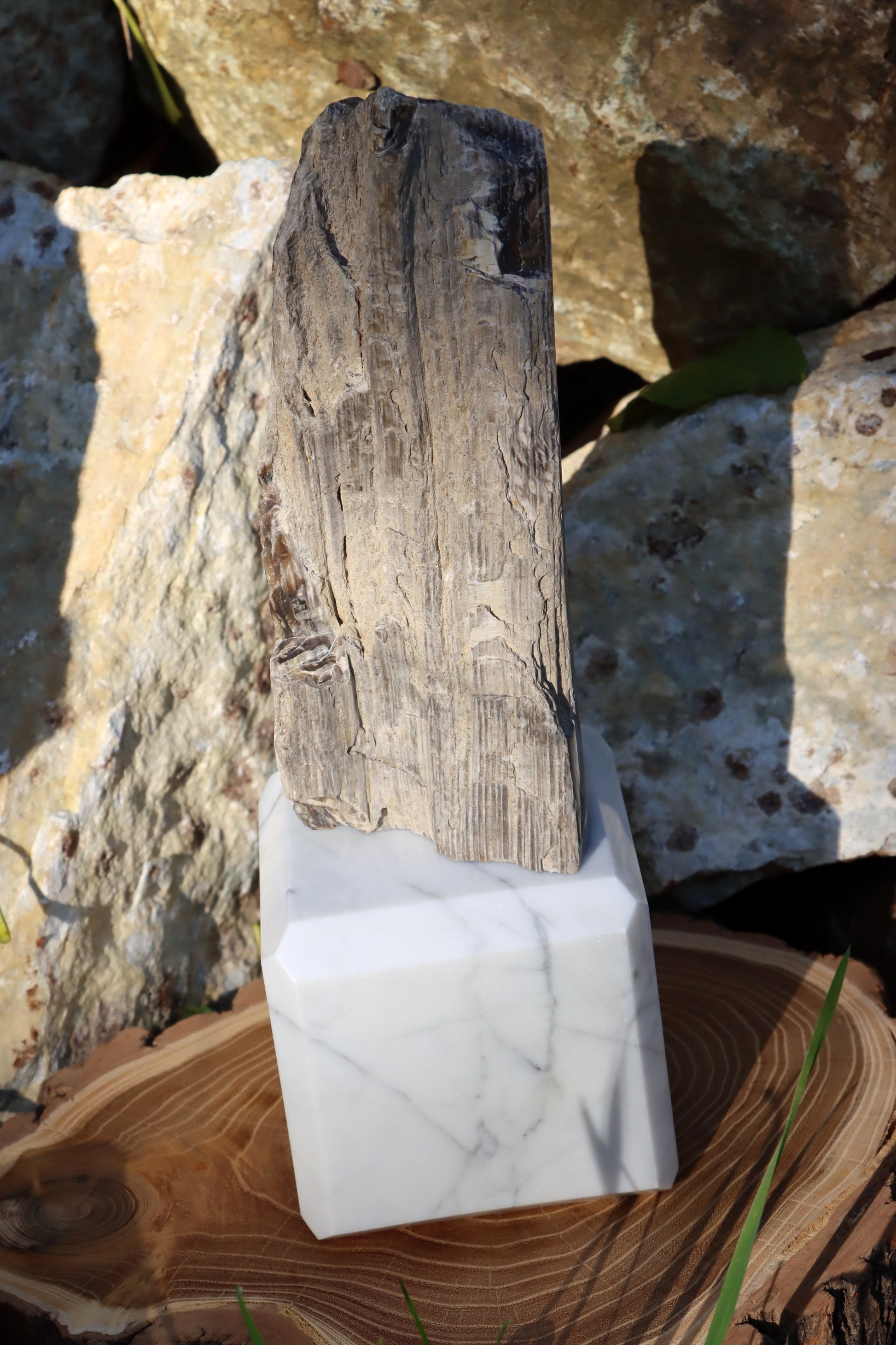 Oltář Srdce zkamenělého dubu - Supreme Panthers