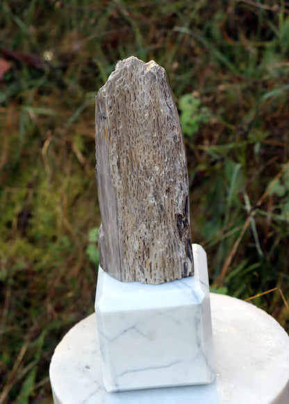 Oltář Srdce zkamenělého dubu - Supreme Panthers