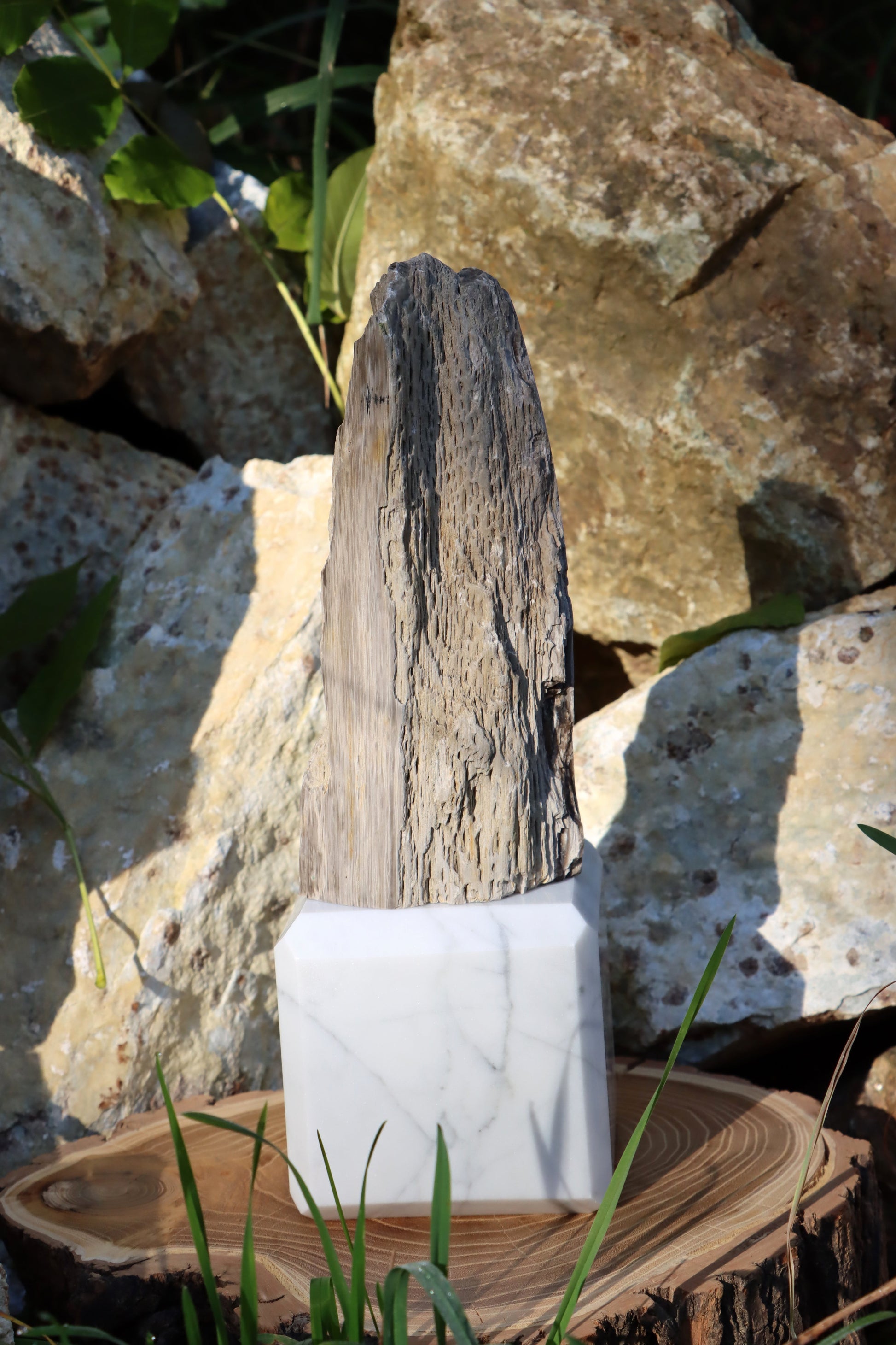 Oltář Srdce zkamenělého dubu - Supreme Panthers