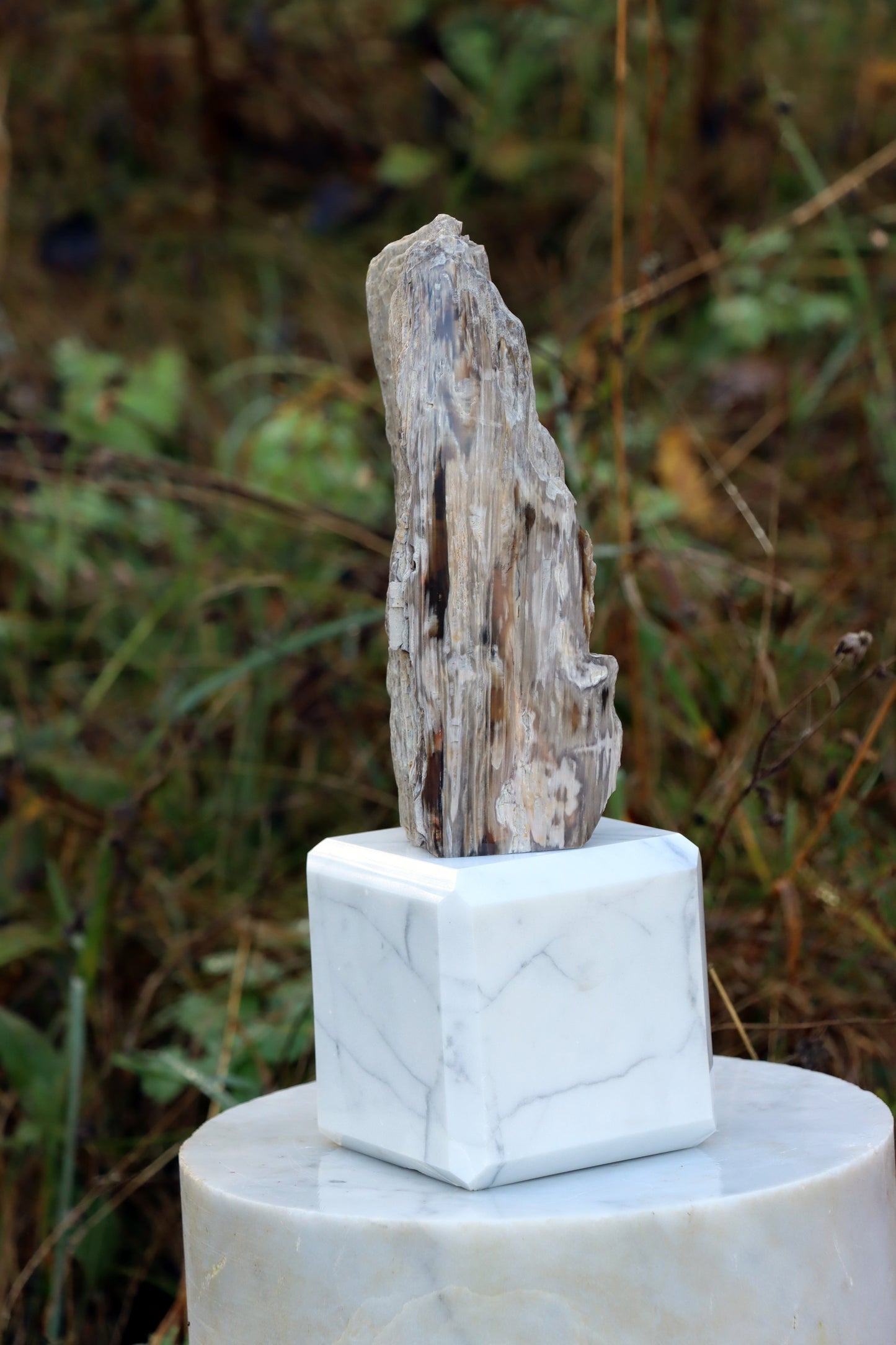 Oltář Srdce zkamenělého dubu - Supreme Panthers