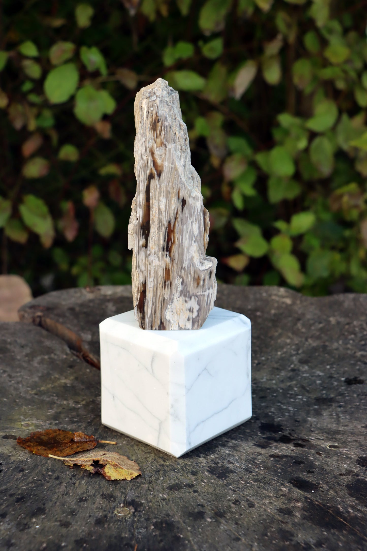 Oltář Srdce zkamenělého dubu - Supreme Panthers